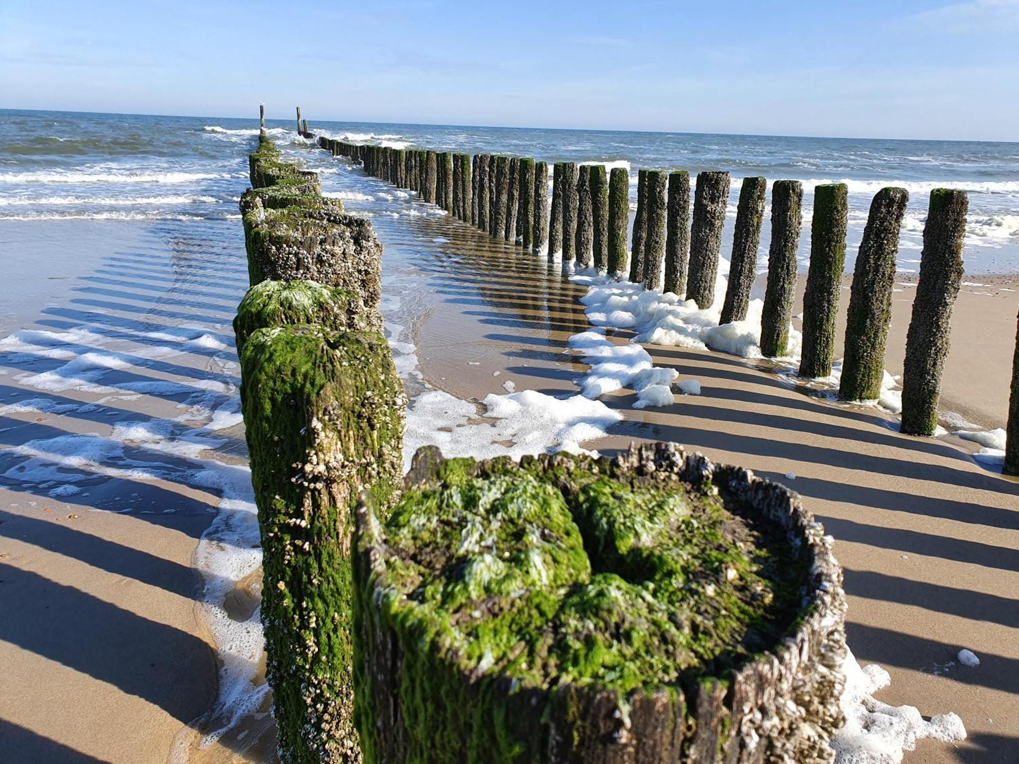Studio Aan Zee Oostkapelle Bilik gambar
