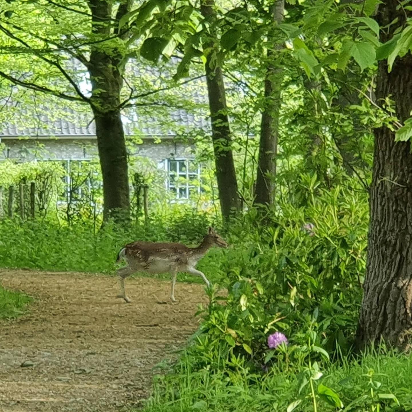 Studio Aan Zee Oostkapelle Bilik gambar